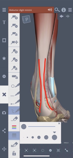 Leg, Ankle, Foot: 3D Real-time(圖5)-速報App