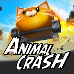 Animal Crash