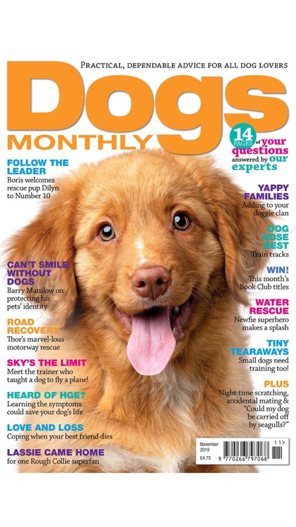 Dogs Monthly Magazine screenshot-4