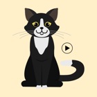 Animated Black Catmoji GIF