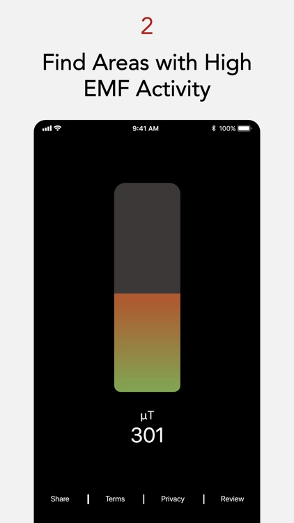 EMF Radiation Detector
