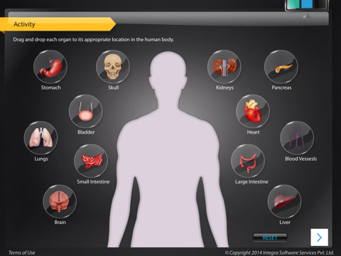 Human Anatomy - Skeletal screenshot 2