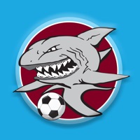 Shoalhaven Heads Berry FC PC 용