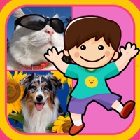 소설의 지그 소 퍼즐 게임 VIP