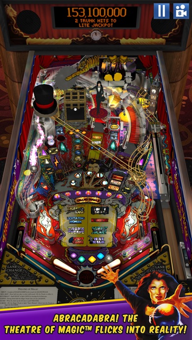 Williams™ Pinball screenshot1