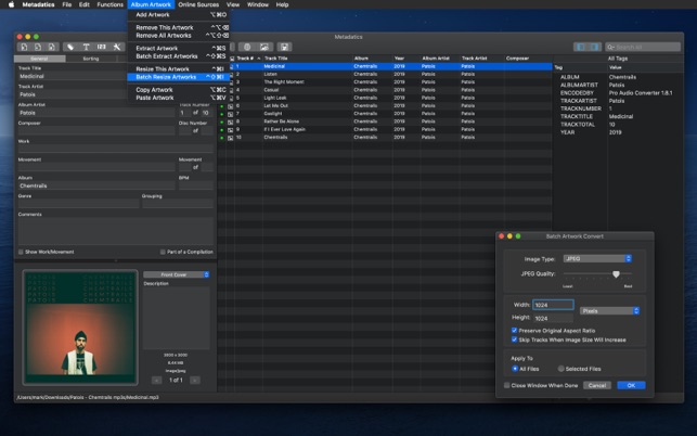 Metadatics 1 5 3 – Powerful Audio Metadata Editor
