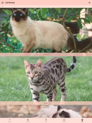 Screenshot 5 Cat App - Meowly Cats iphone