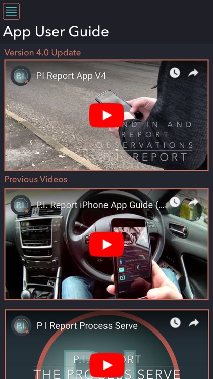 P.I. Report screenshot-6