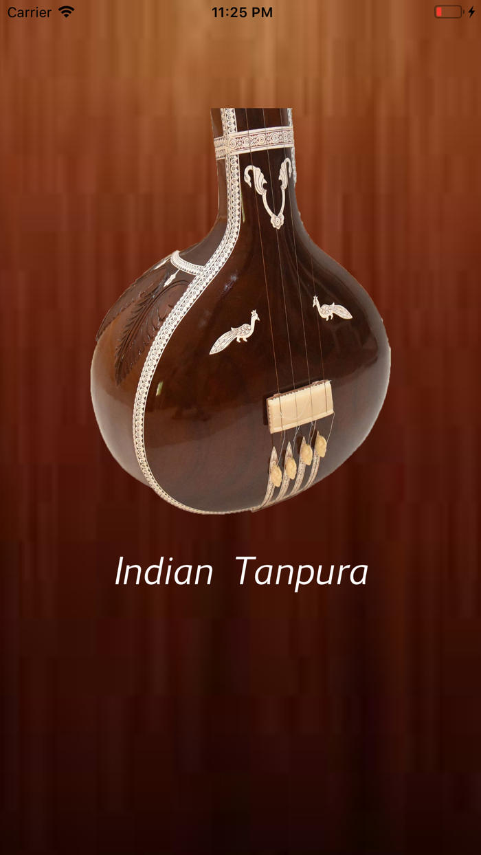 Indian Tanpura