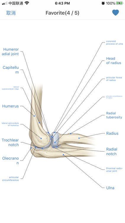 Human Anatomy -Anatomical term screenshot-5