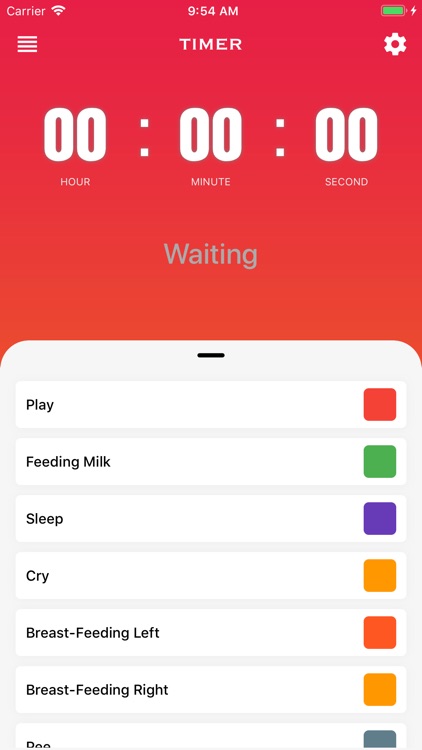 Babycare Recorder