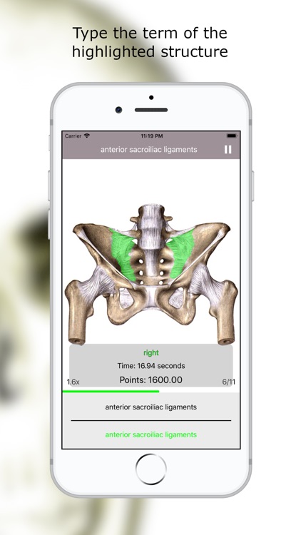 Anatomy Quiz Premium