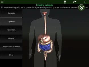 Screenshot 2 Órganos 3D (anatomía) iphone