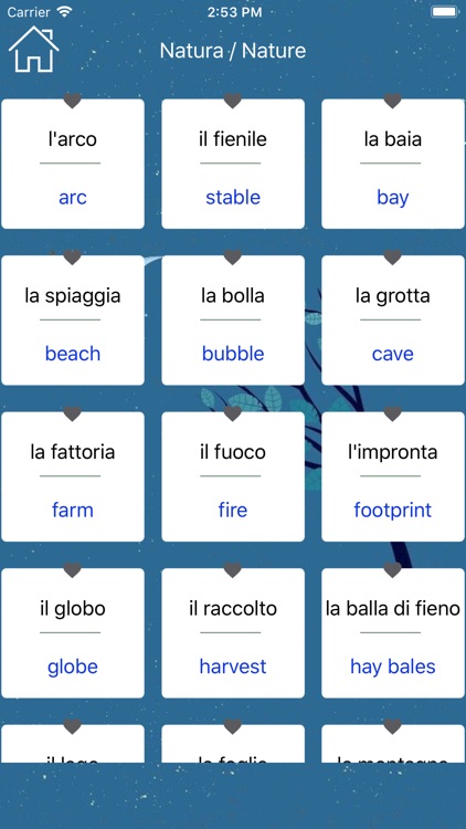 Italian Vocabulary & Phrase