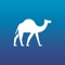 If you'd like to learn Perl, then this app lets you run Perl scripts from your iTouch, iPhone or iPad