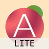 aReport Lite