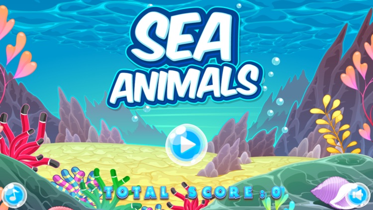 Sea Animals