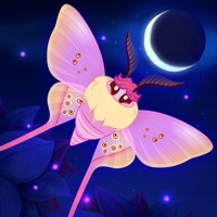 Flutter: Starlight PC 용