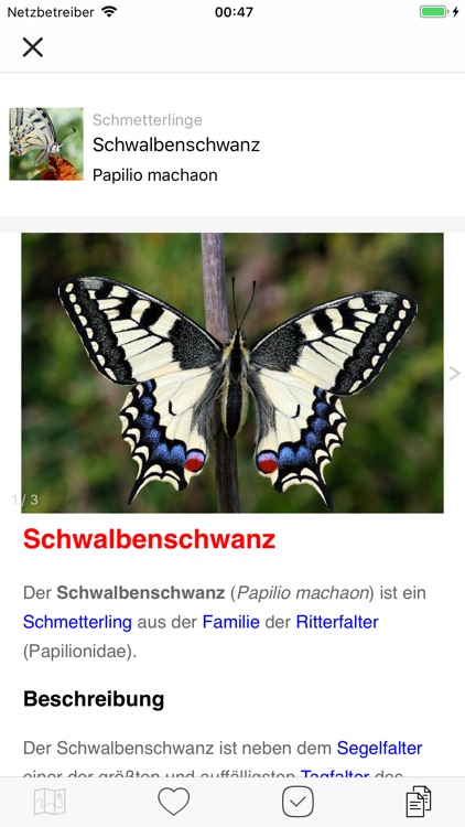 Tierwelt des Alpenraums screenshot-4