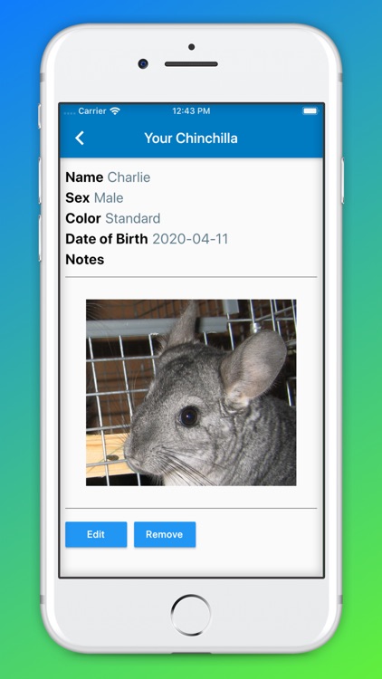 Chinchilla Home