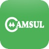 Camsul