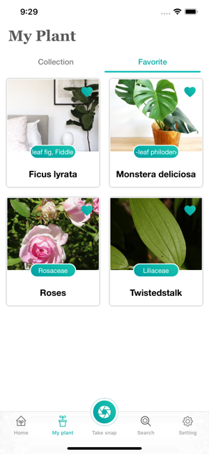 ‎PlantFinder - Quick identifier Screenshot