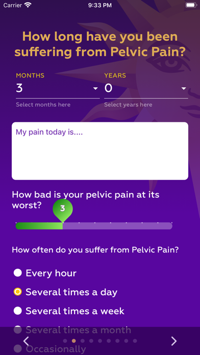 Pelvic Pain Chronicles screenshot 4