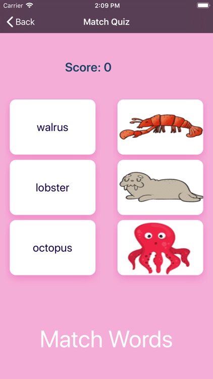 See animals vocabulary