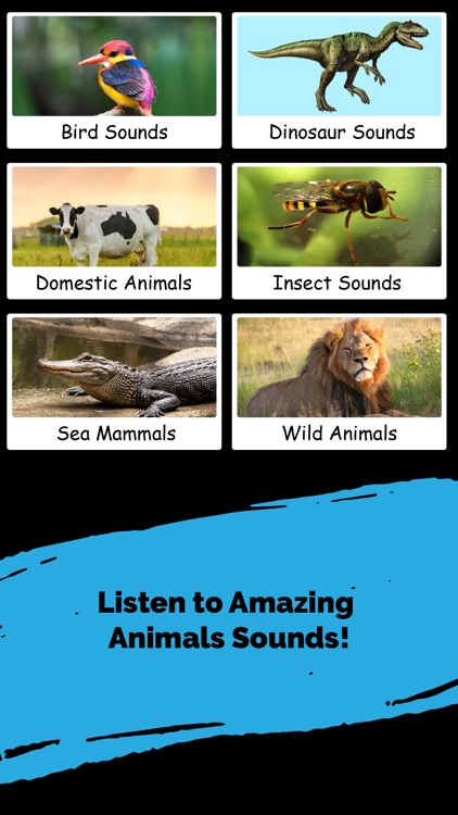 Animal & Nature Sounds