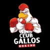 Gallos Boxing Timer