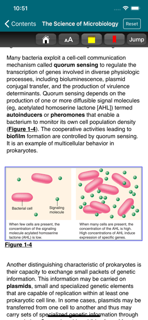 Medical Microbiology, 28/E(圖5)-速報App