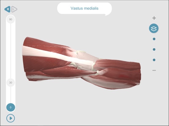 Screenshot #4 pour Dynamic Knee Anatomy