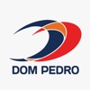 Rede Dom Pedro