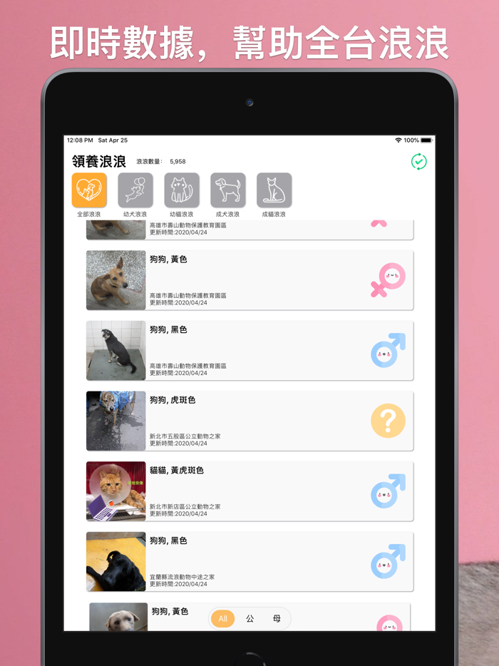 領養浪浪：即時全台流浪毛小孩