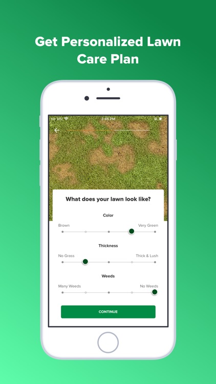 My Lawn: A Guide to Lawn Care