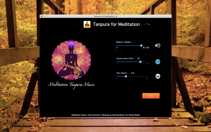 Tanpura - India Instruments thumbnail 1