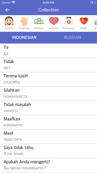 Indonesian-Russian Dictionary screenshot 2