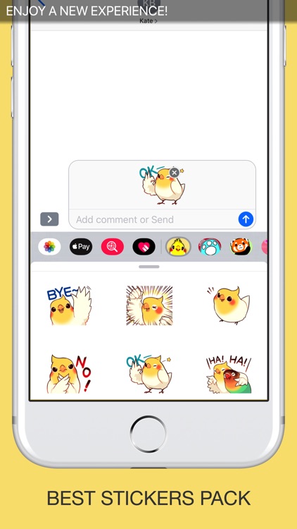 Birds Stickers Pro