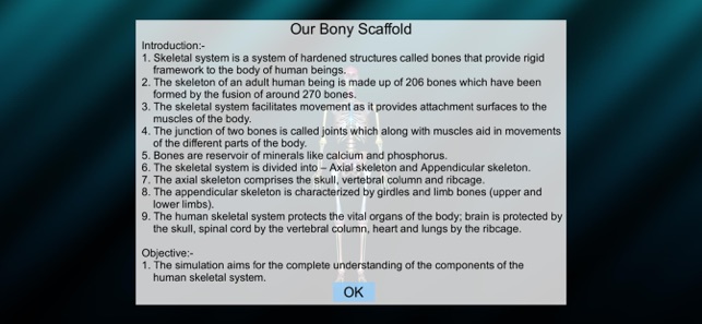 Our Bony Scaffold