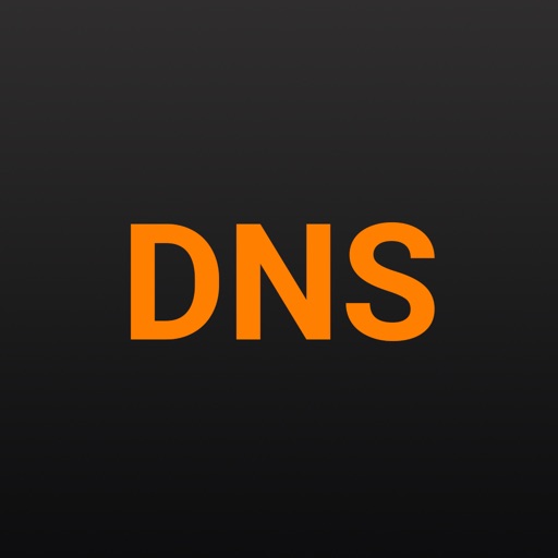 DDM DNS Tool icon