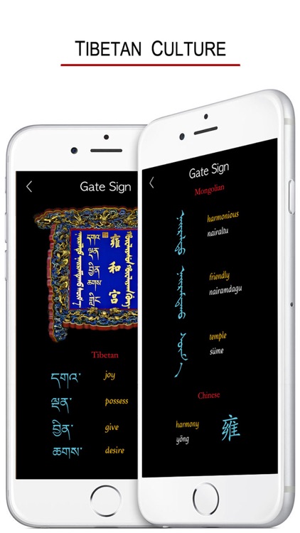 Tibetan Words & Writing screenshot-4