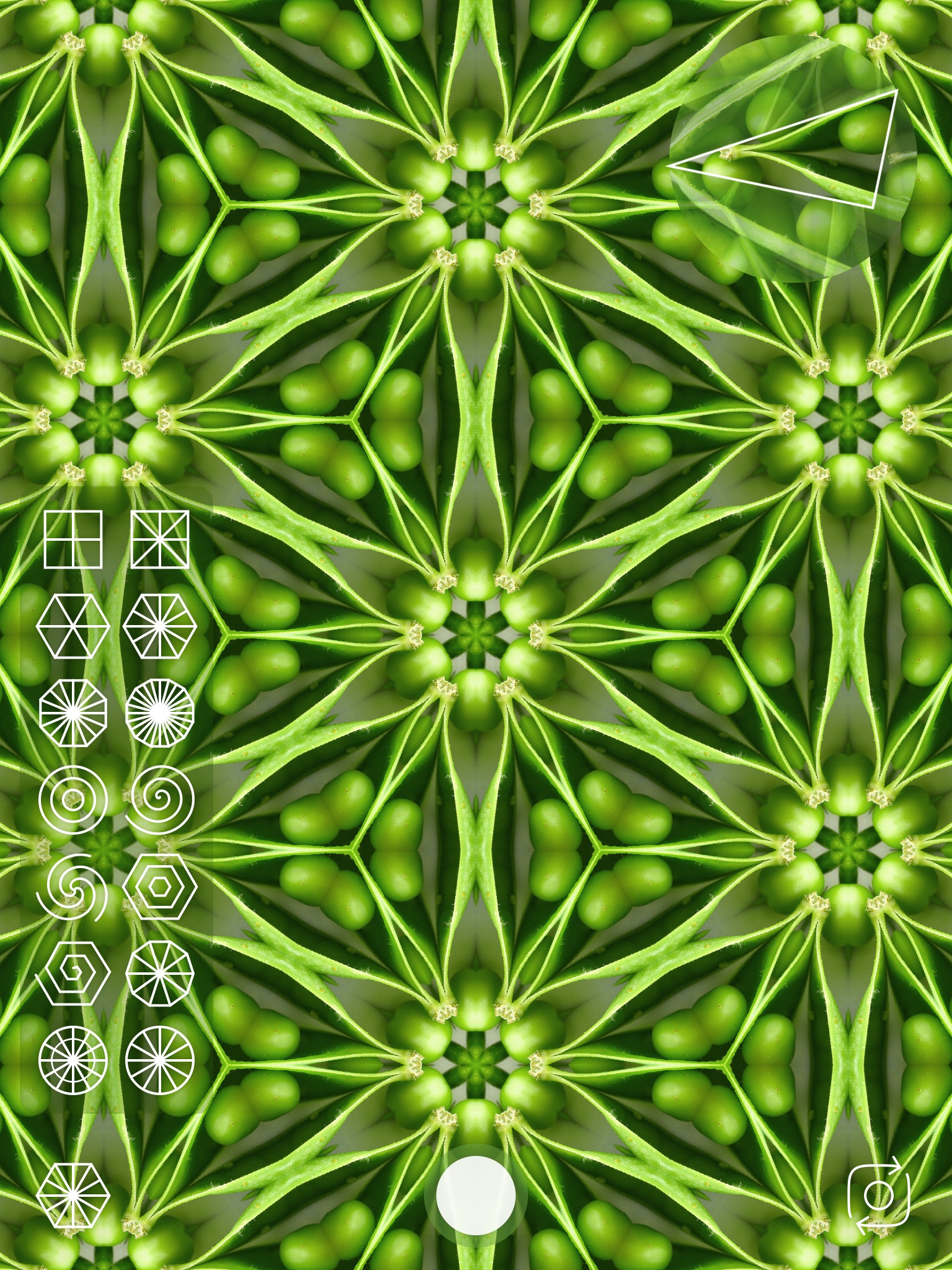 Kaleidoscope Camera screenshot 4