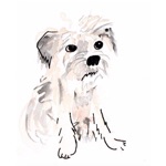 All The Good Dogs