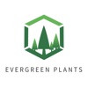 Ever Green Plants
