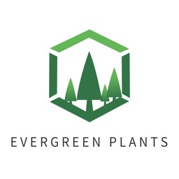 Ever Green Plants