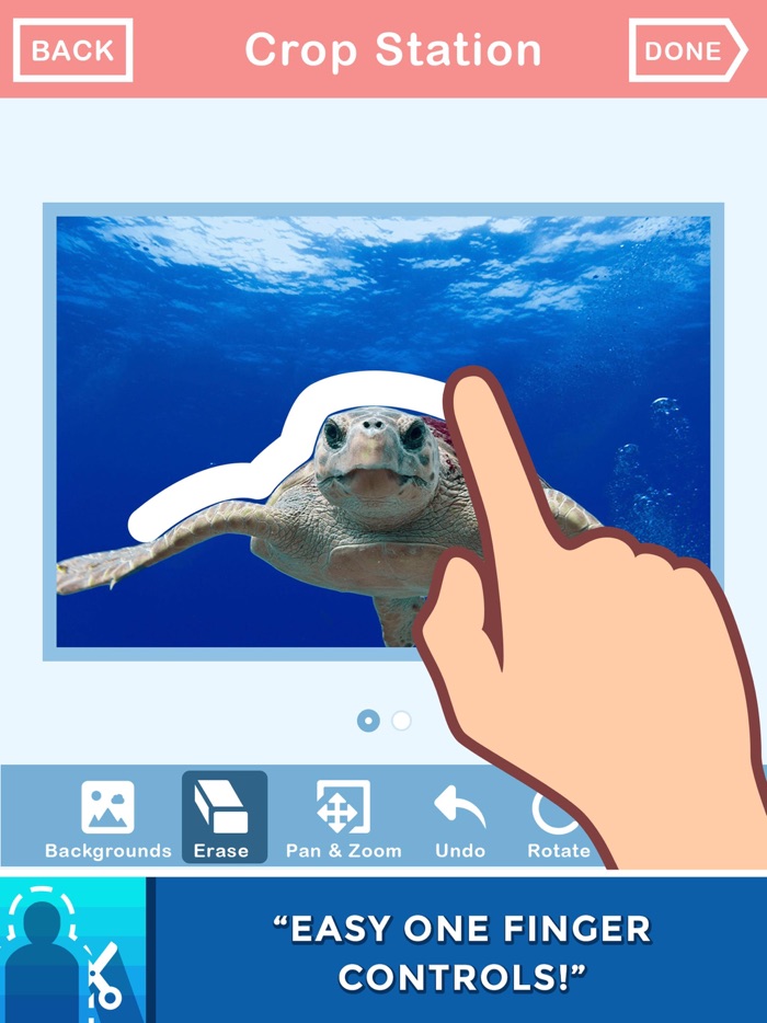 In The Pic - The Photo Chopper