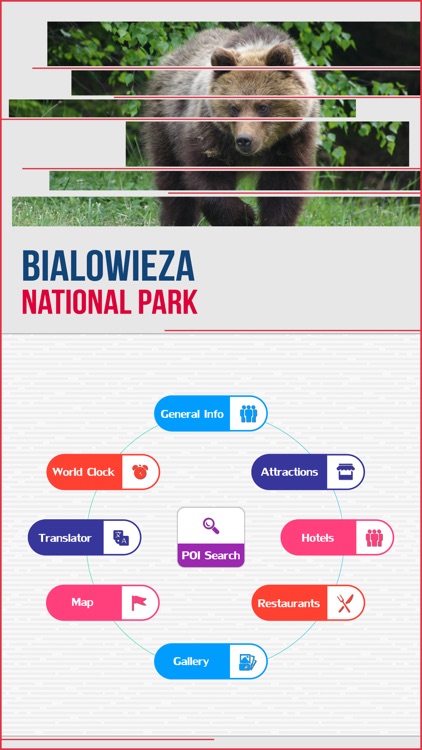 Bialowieza National Park Guide