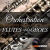 Flutes & Oboes by AV 103
