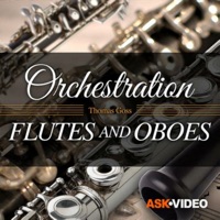 Flutes & Oboes by AV 103 sur PC