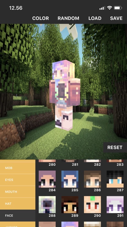 Custom Skin Creator screenshot-3